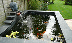 ACH Landscapes Garden Ponds